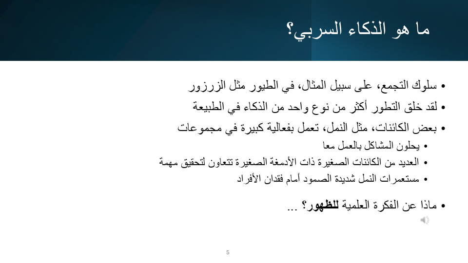 Slide 5