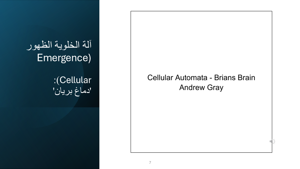 Slide 7