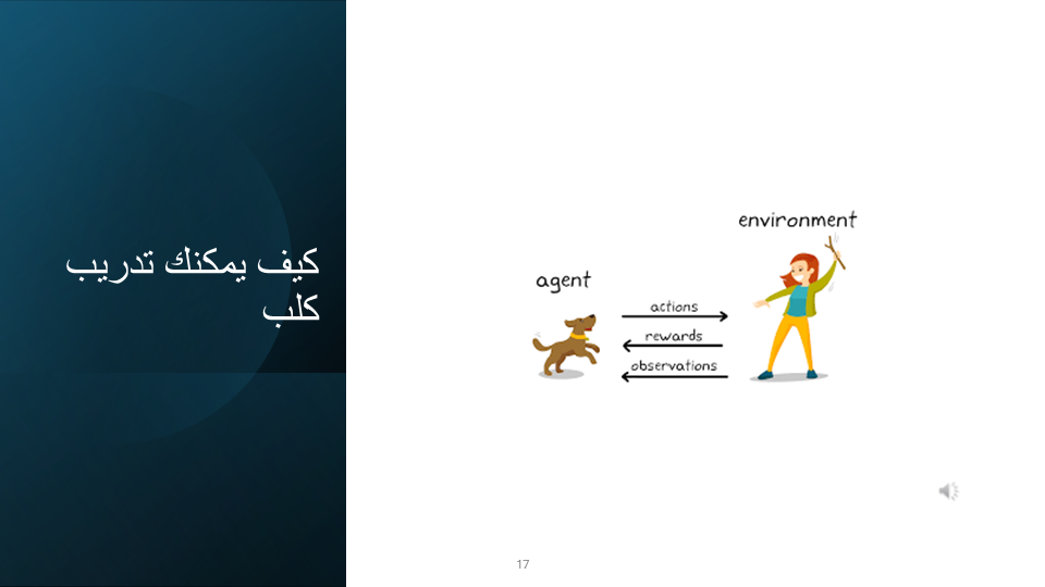 Slide 17