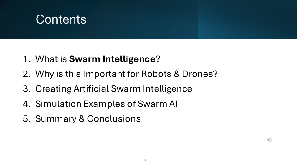 Slide 3