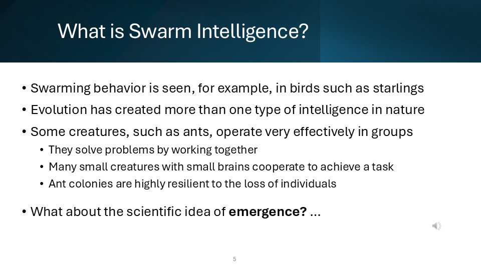 Slide 5