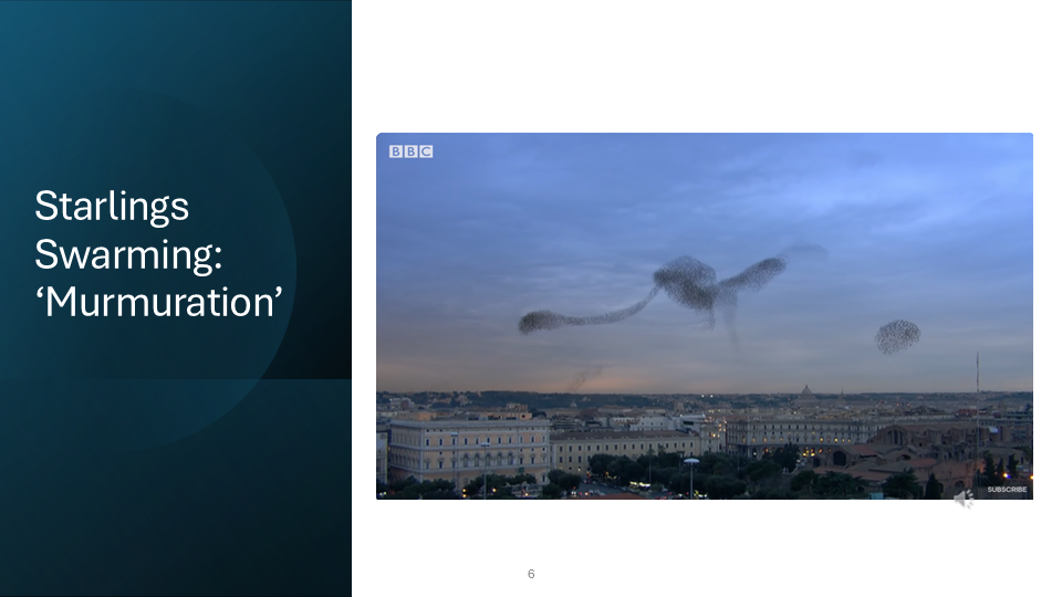 Slide 6