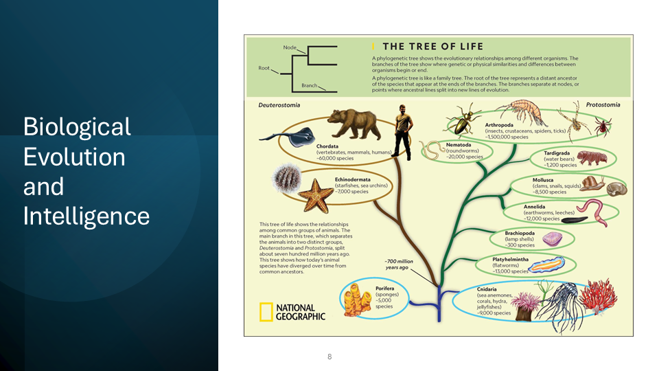 Slide 8