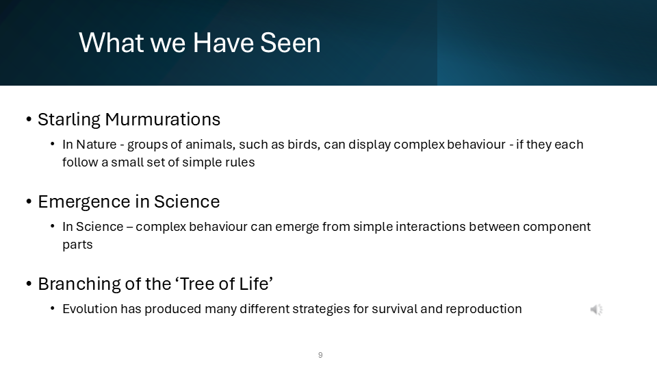Slide 9
