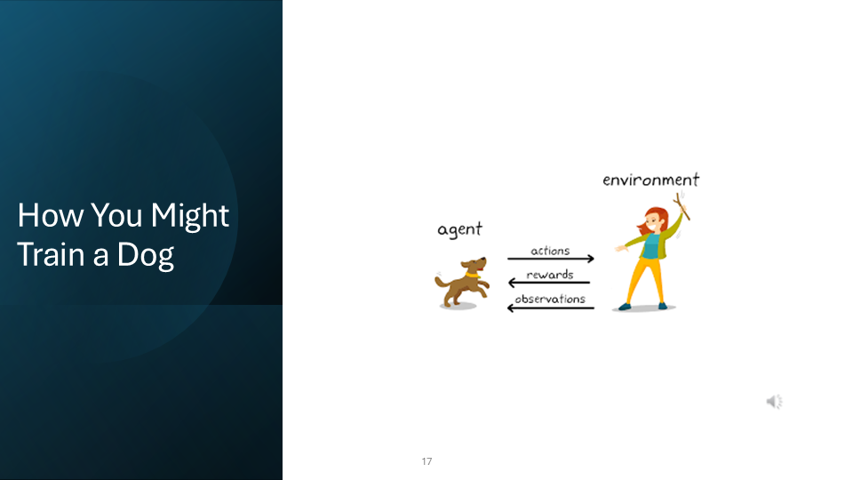 Slide 17