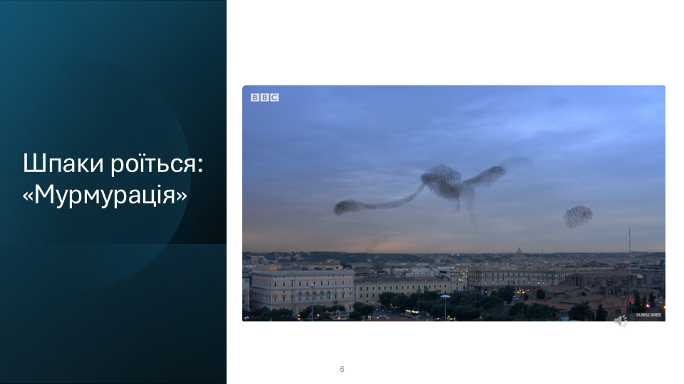 Slide 6